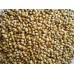 Dhania(Coriander Seed)-250gms